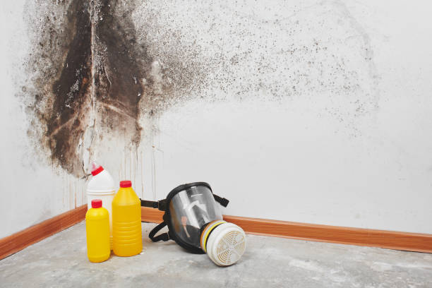 Best Crawl Space Mold Removal  in Evansville, WY