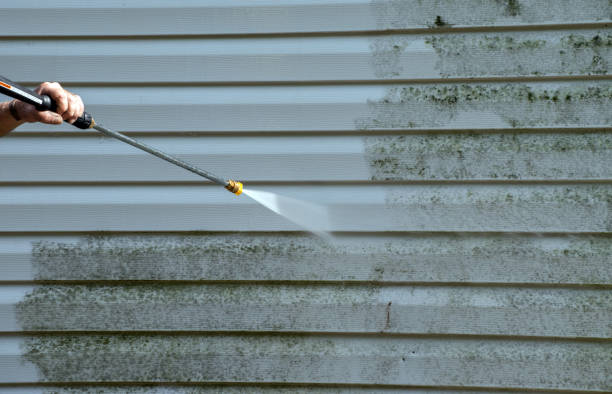 Best Professional Mold Removal  in Evansville, WY