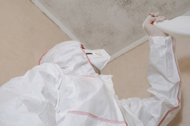 Best Toxic Mold Removal  in Evansville, WY