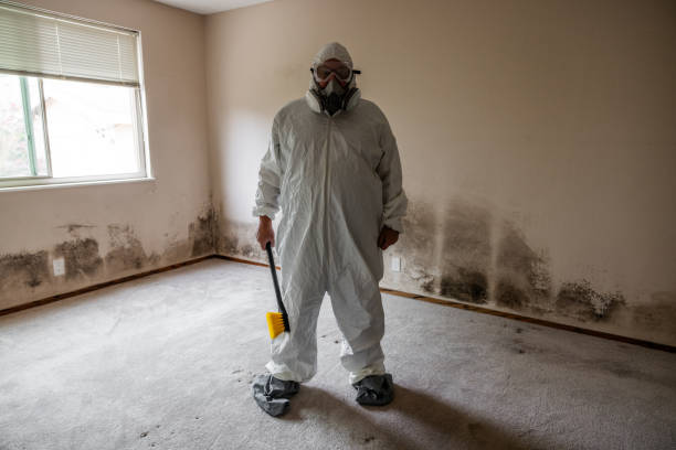 Best Mold Damage Repair  in Evansville, WY
